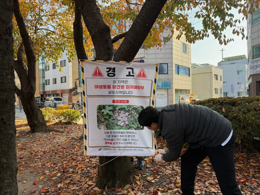 연수구는 최근 아파트 공원 등 주거지 인근에 너구리가 자주 출몰함에 따라 이달 18일까지 출몰 지역을 중심으로 광견병 미끼 예방약을 살포한다